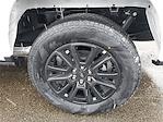 New 2025 Ford F-150 Platinum SuperCrew Cab for sale #F3913 - photo 36