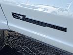 New 2026 Ford F-250 Lariat Crew Cab for sale #F3940 - photo 38