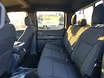 New 2024 Ford F-150 XLT SuperCrew Cab for sale #FBE176 - photo 29