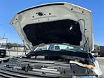 2017 Ford F-350 Regular Cab DRW 4x2 Landscape Dump for sale #2044 - photo 99