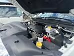 2022 Ram 3500 Regular Cab SRW 4x4 Pickup for sale #2118 - photo 95
