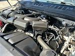 2019 Ford F-250 Regular Cab 4x2 Pickup for sale #2125 - photo 90