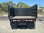 2016 Ford F-350 Regular Cab DRW 4x2 Landscape Dump for sale #2183 - photo 30
