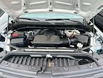 2024 Chevrolet Silverado 1500 Regular Cab 4x2 Pickup for sale #2222 - photo 28