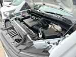 2024 Chevrolet Silverado 1500 Regular Cab 4x2 Pickup for sale #2222 - photo 29