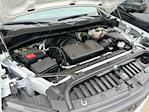 2024 Chevrolet Silverado 1500 Regular Cab 4x2 Pickup for sale #2222 - photo 30