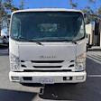 2017 Isuzu NQR Regular Cab 4x2 Stake Bed for sale #2237 - photo 6