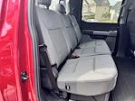 2024 Ford F-150 SuperCrew Cab 4x4 Pickup for sale #F2663 - photo 43