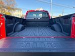 2024 Ford F-250 Regular Cab 4x4 Pickup for sale #F2819 - photo 36