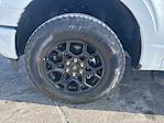 2025 Ford F-150 SuperCrew Cab 4x4 Pickup for sale #F2961 - photo 8