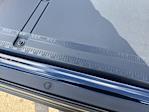 2025 Ford F-150 SuperCrew Cab 4x4 Pickup for sale #F2987 - photo 37