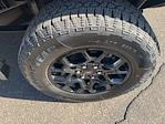 2025 Ford F-150 SuperCrew Cab 4x4 Pickup for sale #F3016 - photo 12