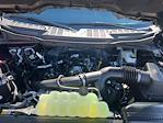 2025 Ford F-150 SuperCrew Cab 4x4 Pickup for sale #F3016 - photo 17