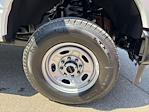 2025 Ford F-250 Crew Cab 4x4 Pickup for sale #F3035 - photo 10
