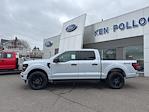 2025 Ford F-150 SuperCrew Cab 4x4 Pickup for sale #F3042 - photo 9