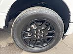 2025 Ford F-150 SuperCrew Cab 4x4 Pickup for sale #F3057 - photo 11