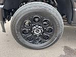 2025 Ford F-250 Crew Cab 4x4 Pickup for sale #F3059 - photo 10