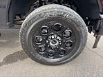 2025 Ford F-250 Crew Cab 4x4 Pickup for sale #F3059 - photo 11