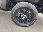 2025 Ford F-250 Crew Cab 4x4 Pickup for sale #F3059 - photo 13