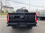 2025 Ford F-250 Crew Cab 4x4 Pickup for sale #F3059 - photo 8