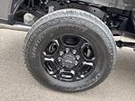 2025 Ford F-350 Crew Cab SRW 4x4 Pickup for sale #F3064 - photo 11