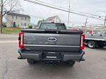 2025 Ford F-350 Crew Cab SRW 4x4 Pickup for sale #F3064 - photo 7