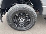 2025 Ford F-350 Crew Cab SRW 4x4 Pickup for sale #F3064 - photo 9