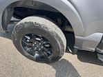 2024 Ford F-150 SuperCrew Cab 4x4 Pickup for sale #F3099A - photo 14