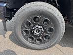 2025 Ford F-250 Crew Cab 4x4 Pickup for sale #F3102 - photo 10