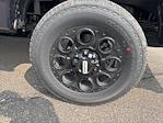 2025 Ford F-250 Crew Cab 4x4 Pickup for sale #F3102 - photo 13