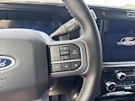 2025 Ford F-250 Crew Cab 4x4 Pickup for sale #F3102 - photo 23