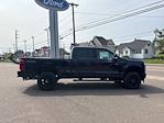 2025 Ford F-250 Crew Cab 4x4 Pickup for sale #F3102 - photo 6