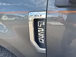 2017 Ford F-250 Crew Cab 4x4 Pickup for sale #F3113A - photo 11