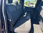 New 2025 Ford F-150 STX SuperCrew Cab 4x4 Pickup for sale #F3116 - photo 35