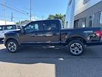 New 2025 Ford F-150 STX SuperCrew Cab 4x4 Pickup for sale #F3116 - photo 9