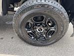2025 Ford F-250 Crew Cab 4x4 Pickup for sale #F3120 - photo 9