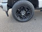 2024 Ford F-250 Crew Cab 4x4 Pickup for sale #F3123A - photo 11