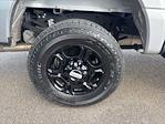 2024 Ford F-250 Crew Cab 4x4 Pickup for sale #F3123A - photo 13