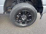 2024 Ford F-250 Crew Cab 4x4 Pickup for sale #F3123A - photo 14