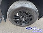 2024 Chevrolet Silverado 1500 Crew Cab RWD Pickup for sale #F3206A - photo 14