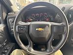 2024 Chevrolet Silverado 2500 Crew Cab SRW 4WD Pickup for sale #F3227A - photo 10