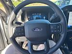 2025 Ford F-150 SuperCrew Cab 4WD Pickup for sale #F3250 - photo 21