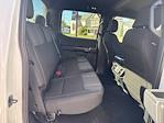 2025 Ford F-150 SuperCrew Cab 4WD Pickup for sale #F3250 - photo 41