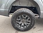 New 2025 Ford F-150 Tremor SuperCrew Cab 4WD Pickup for sale #F3254 - photo 13
