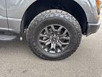 New 2025 Ford F-150 Tremor SuperCrew Cab 4WD Pickup for sale #F3254 - photo 14