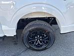 New 2025 Ford F-150 XLT SuperCrew Cab 4WD Pickup for sale #F3300 - photo 11