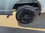 New 2025 Ford F-150 STX SuperCrew Cab 4WD Pickup for sale #F3301 - photo 13