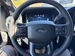 New 2025 Ford F-150 STX SuperCrew Cab 4WD Pickup for sale #F3301 - photo 20