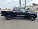 New 2025 Ford F-150 STX SuperCrew Cab 4WD Pickup for sale #F3308 - photo 6
