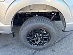 New 2025 Ford F-150 XLT SuperCrew Cab 4WD Pickup for sale #F3320 - photo 12